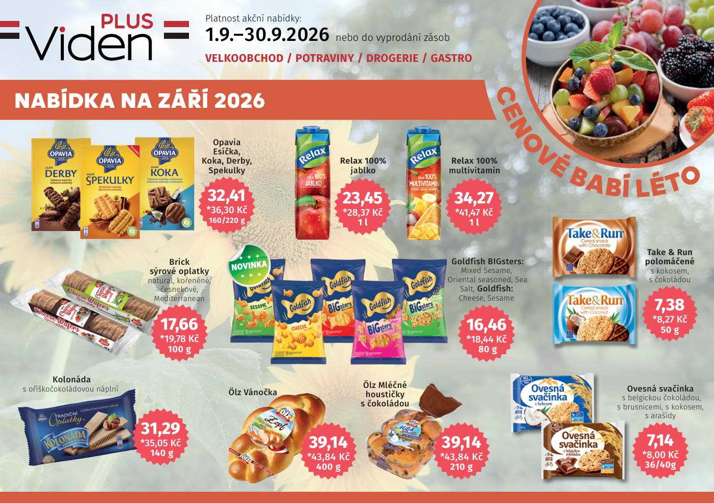 Viden PLUS